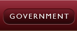 Government